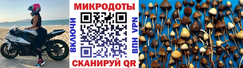 Псилоцибиновые грибы GOLDEN TEACHER  Феодосия 